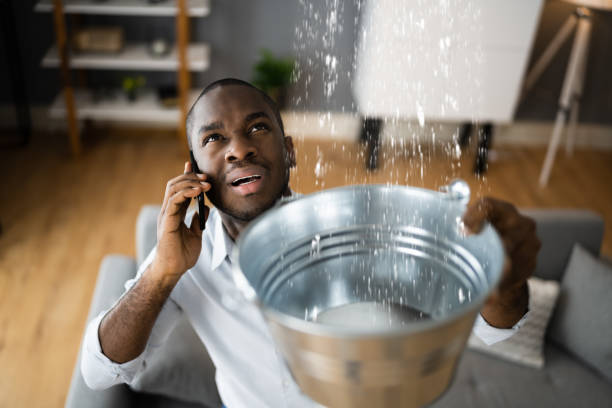 Best Carpet water damage restoration  in New Glarus, WI