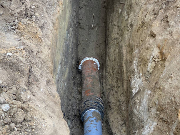 Best Flood restoration services  in New Glarus, WI