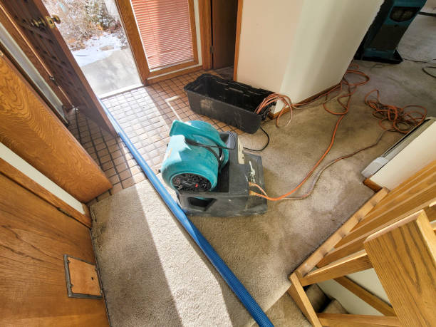 Best Mold removal after water damage  in New Glarus, WI