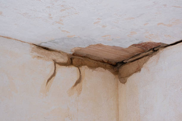 Best Water damage mitigation services  in New Glarus, WI
