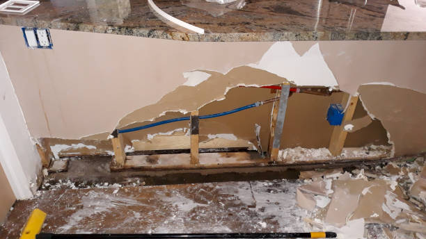 Best Water damage restoration company  in New Glarus, WI