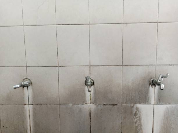 Best Water damage cleanup near me  in New Glarus, WI