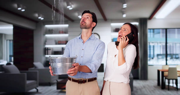 Best Professional water damage repair  in New Glarus, WI