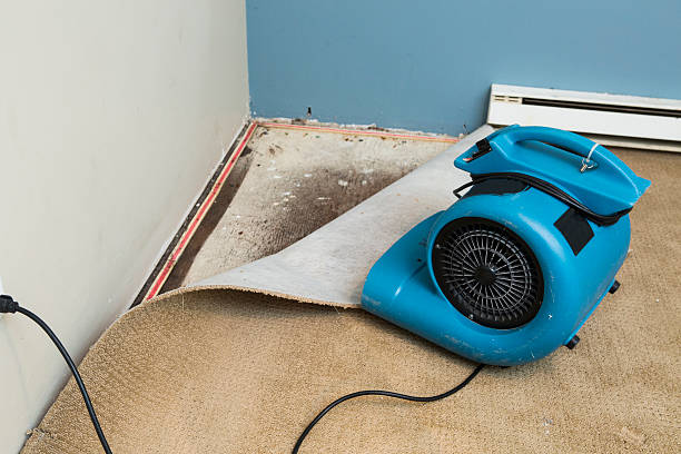 Carpet water damage restoration in WI